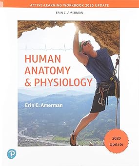 Active-Learning Workbook for Human Anatomy & Physiology, Updated Edition 2nd Edition