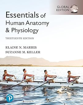 Essentials of Human Anatomy & Physiology [Global Edition] 13th Edition