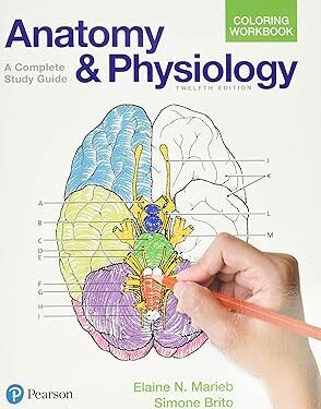 Anatomy and Physiology Coloring Workbook A Complete Study Guide 12th Edition